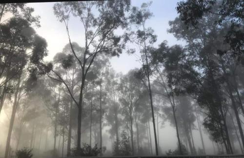 House by Lavender Lane - Forest Views, FREE Parking, Cessnock (Foto 5)