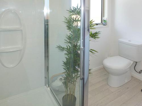 Snapper Bach - Foxton Beach Holiday Home