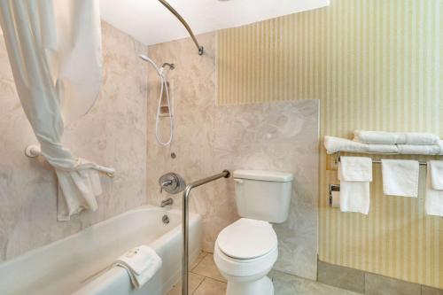 Quality Inn Tucumcari - image 8