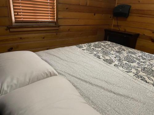 Cabin near Bolder Bay Lake and Village in Big Bear Lake, USA