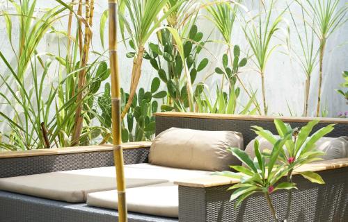 Garden, Isla Indah Retreat near Ceningan Cliffs