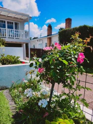 Hot Deal! Sky Stars Coastal Haven Retreat, Auckland (foto 6)