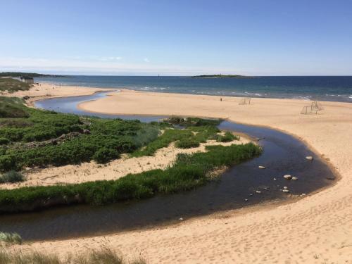 Nearby attraction, Tyleback Hotell & Konferens, BW Signature Collection in Halmstad