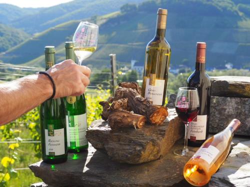 Weingut & Gästehaus Andreas Erz in Brauneberg, Deutschland