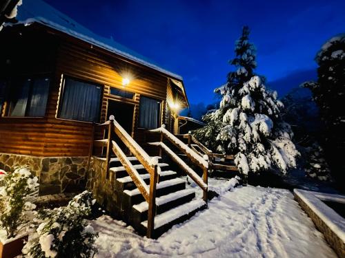 Pensiunea Ioana in Borsa