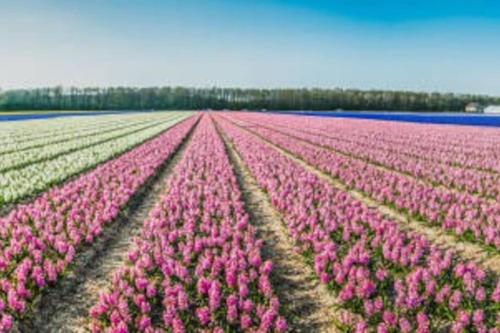 附近景點, Chalet with sauna close to the sea in 蘭傑維爾德住宅