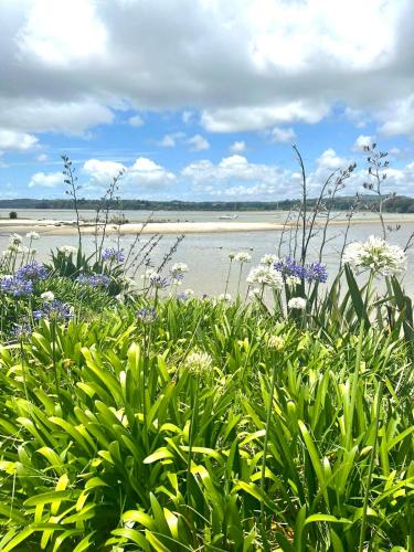 Moores Studio Retreat