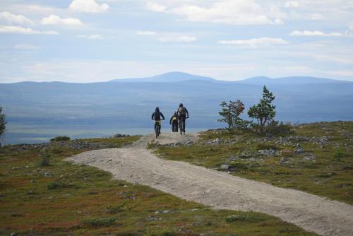 Lucky Levi Lodge Incl WiFi Sauna and outdoor jacuzzi with extra fee - image 2