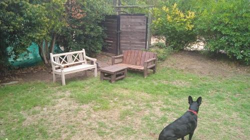 romero en flor in Marly