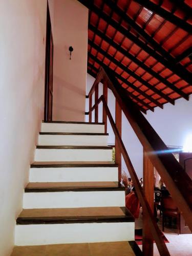 romero en flor in Marly