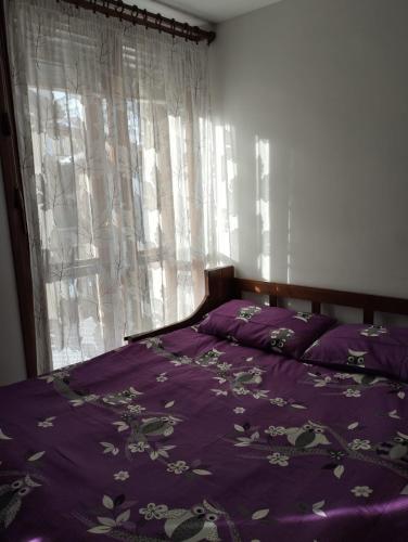 Aleksander ski apartment 2