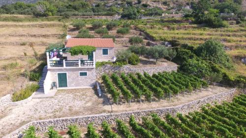 Holiday Home Vineyard house