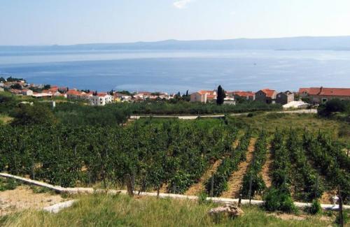 Holiday Home Vineyard house