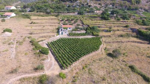 Holiday Home Vineyard house