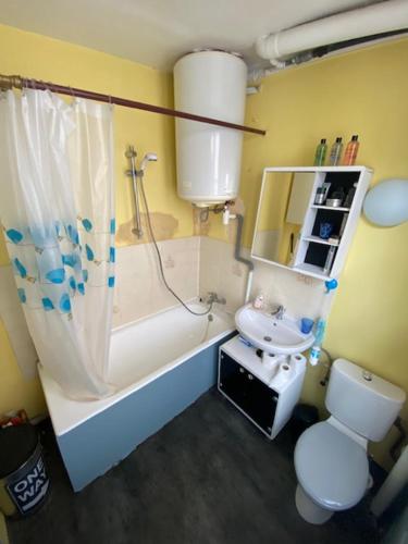 Studio Cosy plein centre-ville, Strasbourg (photo 10)