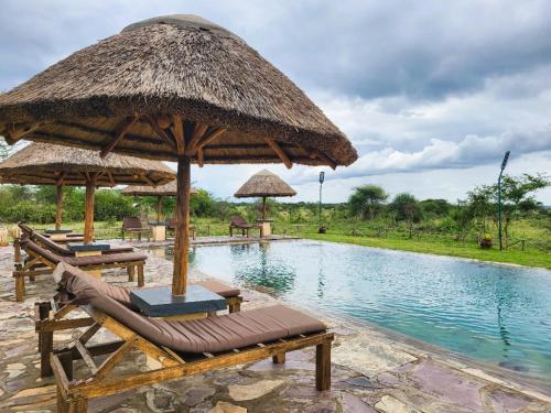 Swimming pool, Zebra kemangore Bush Tented Lodge in Serengeti