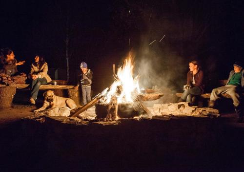 Away with the Fairies Nature Lodge and Backpackers, Hogsback (photo 5)