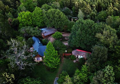 Away with the Fairies Nature Lodge and Backpackers 3