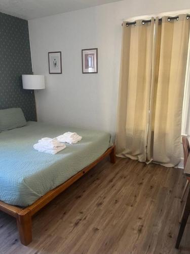 Bright and Studio in the Heart of Downtown St Pete in St Petersburg, USA