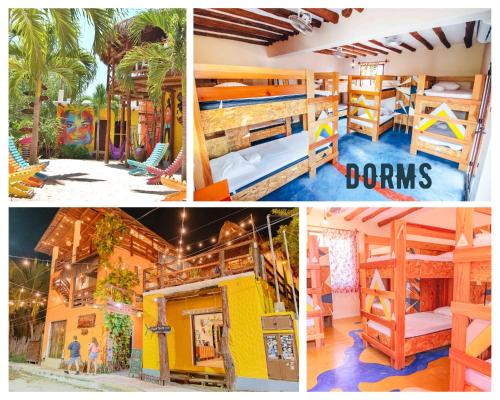 Tribu Hostel
