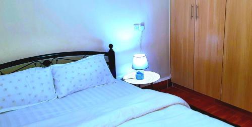 Lovely and Spacious One Bed Room Rosslyn Hill Apartment Ruaka