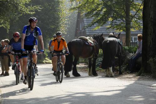 赫伯格小天鹅餐厅酒店 赫伯格小天鹅餐厅酒店