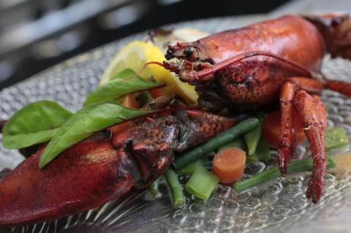 赫伯格小天鹅餐厅酒店 赫伯格小天鹅餐厅酒店