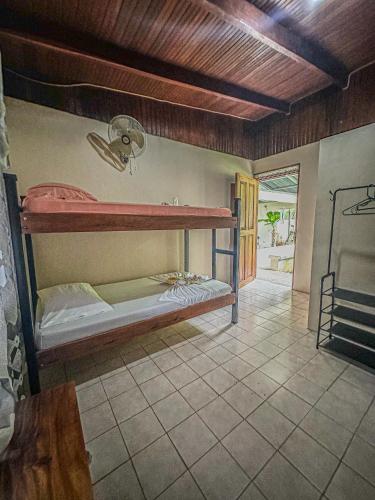 Ventanas en Corcovado