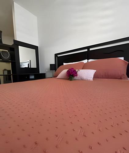 Cabo Hostings Lofts in Cabo San Lucas, Mexico