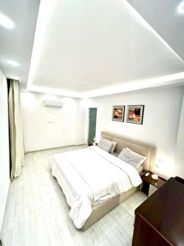 Luxurious apartment in Maadi