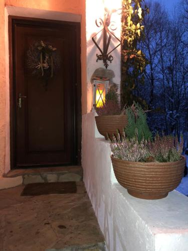 Cabana Paulino in ซูเซวิตา