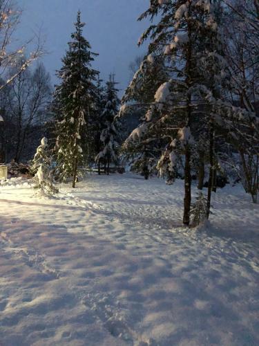 Cabana Paulino in ซูเซวิตา