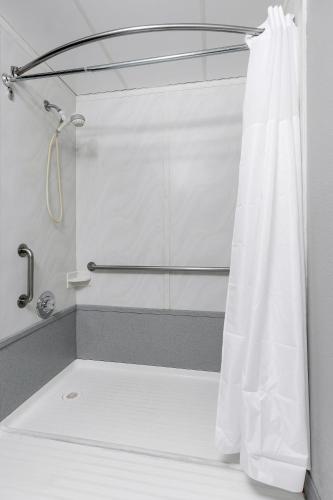 Hotel Seward - image 14