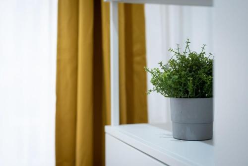 Huge aparment in the city center with Air Conditioning - image 7