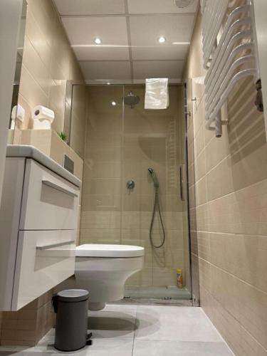 Superb Wawel Apartment, best location in town