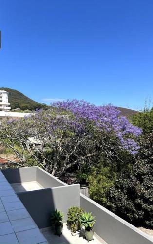 Shoal Vibes in Shoal Bay