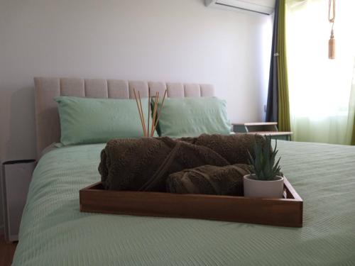 La Casa Verde in Warner Lakes - A Boutique Guesthouse - A Welcoming Homestay in Brisbane Északi Külvárosok