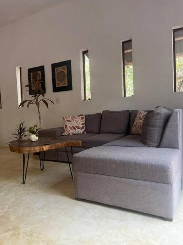 Casa Dharma House in the jungle in มาการิโอโกเมซ