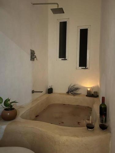 Casa Dharma House in the jungle in มาการิโอโกเมซ