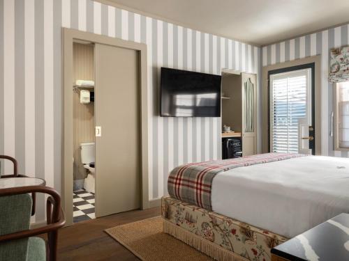 Suite, junior, terrace