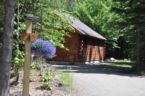 Two-Bedroom Cabin 4