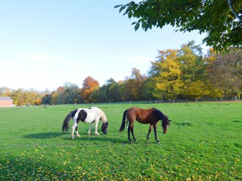 Spacious Holiday Home with Private Garden