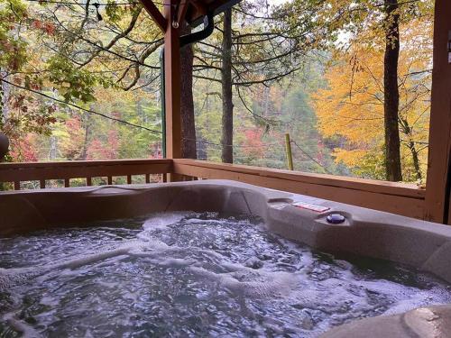 Big Bear Cave in Blue Ridge, USA