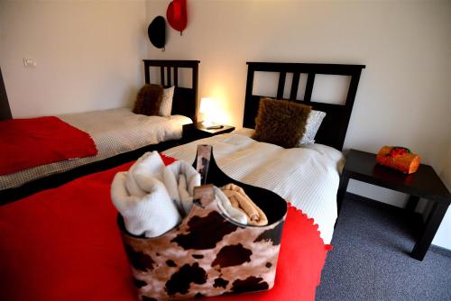 Hotel Biscuit Located in Student Complex, Hotel Biscuit is a perfect starting point from which to explore Cluj- Napoca. The hotel has everything you need for a comfortable stay. All the necessary facilities, includ