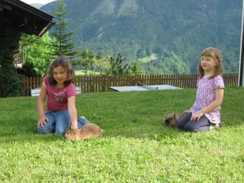 Alpenhof Strenge - image 7