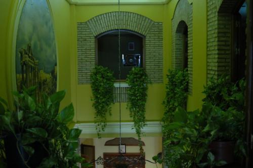 Hotel Anfiteatro Romano - image 6