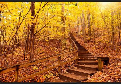 Cozy Spot - Available Ski Season - Boyne City in Boyne City, USA
