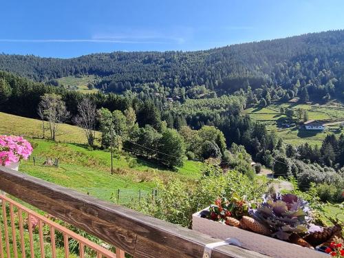 Chambres d'hôtes à la montagne, animaux acceptés - FR-1-589-735 chambre d'hôte Bois de la Hutte