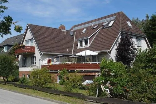Kiebitzei in Wittdün, Deutschland