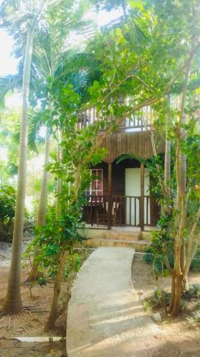 T&T - Tatty and Tony Guesthouse in Negril